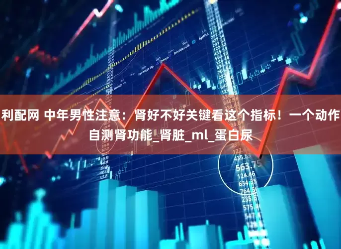 利配网 中年男性注意：肾好不好关键看这个指标！一个动作自测肾功能_肾脏_ml_蛋白尿